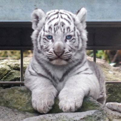 jnamoroll's profile picture. 