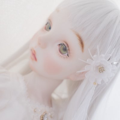 🦋 秋月 しのぶ 🦋さんのプロフィール画像
