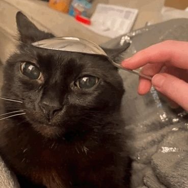 KayEssP_26's profile picture. 04' | certified dumbass | 
#CR33MOS |
🍉 |

Whatever the fuck not