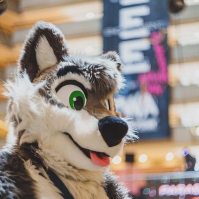 July Husky π Megaplex Profile