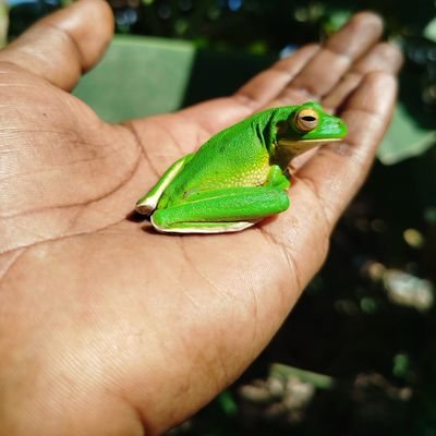 Eggor_Gama's profile picture. 