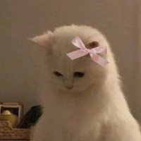めい (@mo_chi9n) 's Twitter Profile