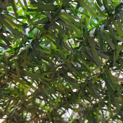 hyperf7pro's profile picture. 