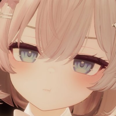 @raimeivr