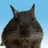 degu_terre0519's profile image