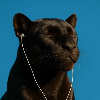 bruno.ppt🪽さんのプロフィール画像