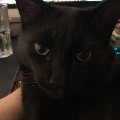 DISCORD : ArdolfDanz ||
TELEGRAM : @KzLXCV ||
Using Web to Support / $BOOPI COMMUNITY ♥️
