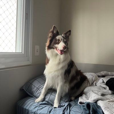 sennacs2's profile picture. 19 | player for