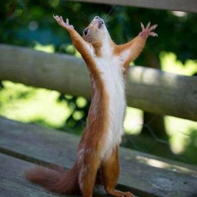 Yohana_Haule1's profile picture. Politician