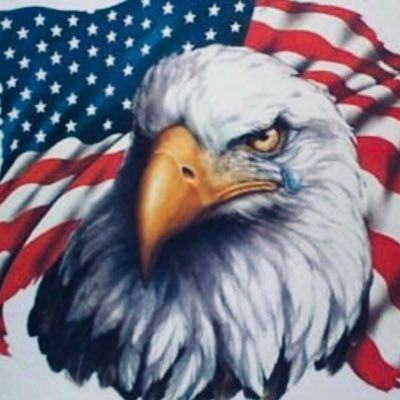 tfdoherty's profile picture. 