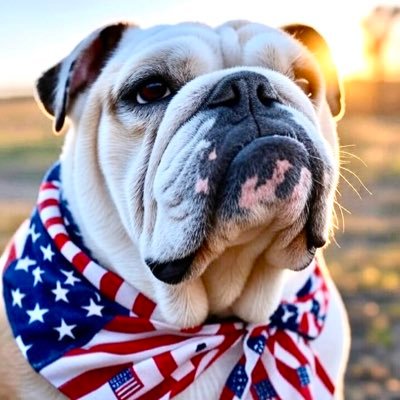 AMERICA FIRST. Love Bulldogs. I help Veterans daily and love it. NO DM’s🚫 Making America Safe 🇺🇸 Make America Beautiful. I follow back. MAGA 2016 until Now