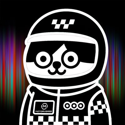 Motorverse Profile