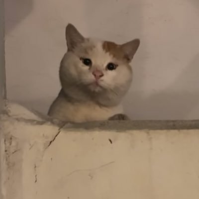 MenyusunBunga dan KidungPuisi
