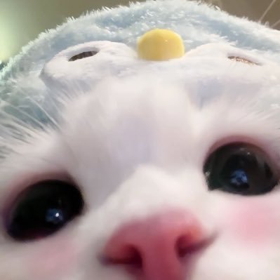 study_nacco's profile picture. 高2￤理系￤千葉大デザイン・武蔵美情デ￤進学校の底辺￤ 平日3時間 休日10時間🔥 勉強垢はフォロバ100です！