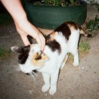 Jana (@e65sr6f2s2d3gf2) 's Twitter Profile