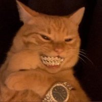 𝕰𝖑𝖊𝖌𝖆𝖓𝖈𝖊👽🐐 (@cheenonso_) 's Twitter Profile