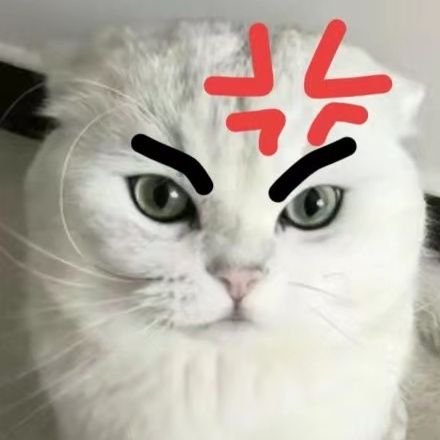 @alcove_pro builder | @UJSBlockchain 会长 | Web3宠物博主,打工就是为了小猫猫🐱