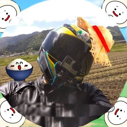大好きな日本の自然と生き物を守るため、日本の農業を守るため
このたび兼業農家になりました。
主にお米と少しのお野菜を作っています。
本アカ→ @RampagemonkeyYu