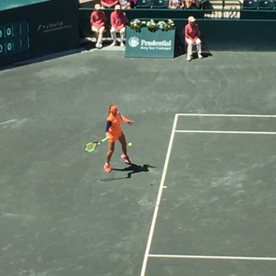 BasedTennis's profile picture. Connecting the tennis world with "based" commentary and analysis. NO POLITICS unless provoked by stupidity.
