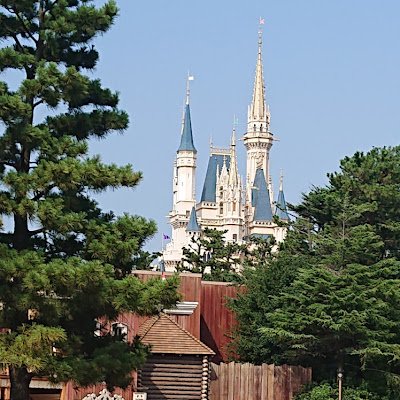 jSUM625vOk3999's profile picture. 