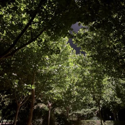 yuzhenning11's profile picture. 🪵🔥🚀