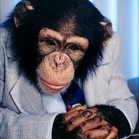 CEO da Banana Corp (@mcacocoin) 's Twitter Profile