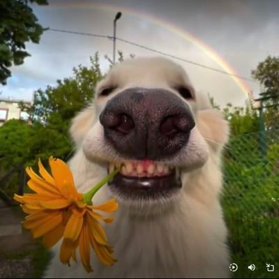 all_the_waydown's profile picture. I am trying my best to not get accidentally killed.