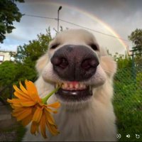 comeagain (@all_the_waydown) 's Twitter Profile