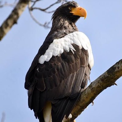 konkrok5517's profile picture. 早慶 #27卒 コンサル商社志望