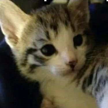 basics_promoter's profile picture. 