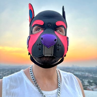 Perrito alfa/switch morboso, nerd, juguetón, y boquetón. Enseño a mis cachorros a ser putos y promiscuos con el ejemplo🥵|420|AuDHD|FF👊|🐕🇲🇽