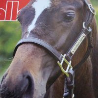 ねおん (@ksiiko_7714) 's Twitter Profile Photo ねおん (@ksiiko_7714) 's Twitter Profile Photo