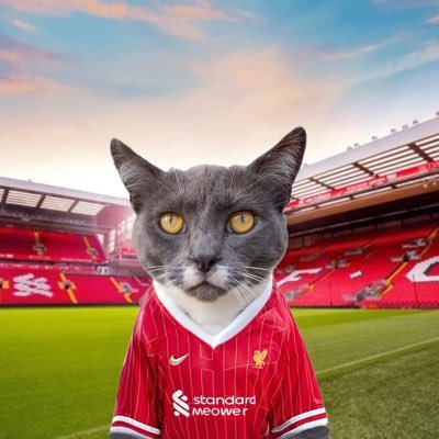 Cat lover, man lover, football lover, beer lover. Sarcastic, cynical, but damn good boobs 😍 My shop https://t.co/Vp4Hd5GSHI
