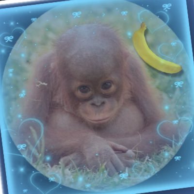 BornWrongAgain's profile picture. I like u if u like me | JUNGLETWT