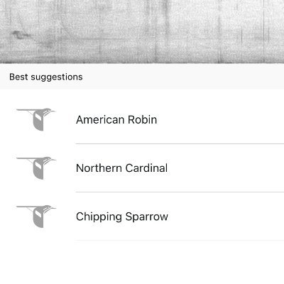 lucyheardauthor's profile picture. Published fiction writer, screenwriter, story analyst and script doctor. Amateur de-escalator, purveyor of sense, lover of reason.