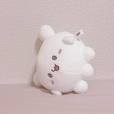 yururi_milky's profile picture. 🤍編み物中毒者🧶｜日常や回復の記録｜未経験経理志望アラサー｜転職活動・資格勉強・編み物記録५✍｜⚠︎婚約前です。出会い目的NG彼氏大好き🫶｜リプ返🐌💭｜経理系職業訓練済｜💮簿記２級済｜未経験経理志望｜かぎ針25.06~ 棒針25.09~