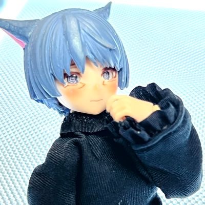 メガミでFF14自機ドールだったりブラインドドールだったり美プラだったり🐈 【サークル名→にゃるるまーけっと】 いろしかさんで委託販売してます✨ タグ🏷️#にゃるっ子 🏷️#にゃるアイ