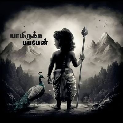 RoseMary388746's profile picture. 