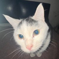 alfonzo (@hernan912m) 's Twitter Profile