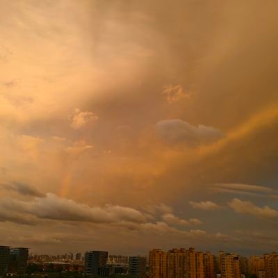 icic520's profile picture. 