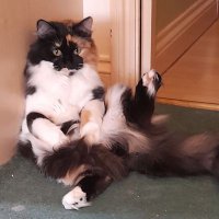 MoniaMonia (@moniamonia79r) 's Twitter Profile