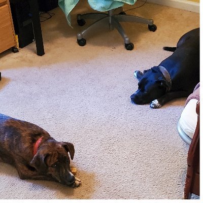 pBinx1's profile picture. Retired in southeast NC. Living day to day while casually watching the world burn to the ground.