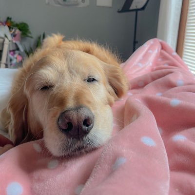 Philipwalker's profile picture. 