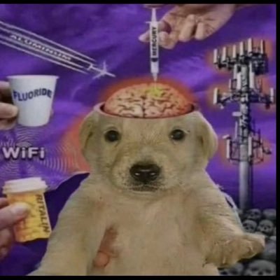 S3N0R1TAboston's profile picture. 🤸