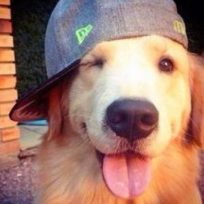 chad! Profile