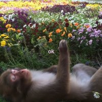 Naibi (@whereisnaibi) 's Twitter Profile