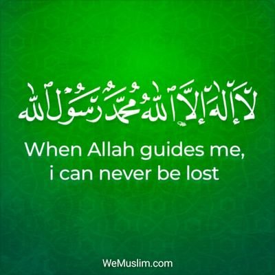 A sheikh whose sole aim is to educate people about Allah and be of need. Allah is my witness. لا إله الا الله.