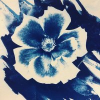 Etherez (@etherzli) 's Twitter Profile