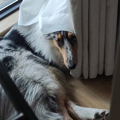 tiotioy8's profile picture. 