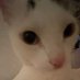 Amna (@amoonah05) Twitter profile photo Amna (@amoonah05) Twitter profile photo